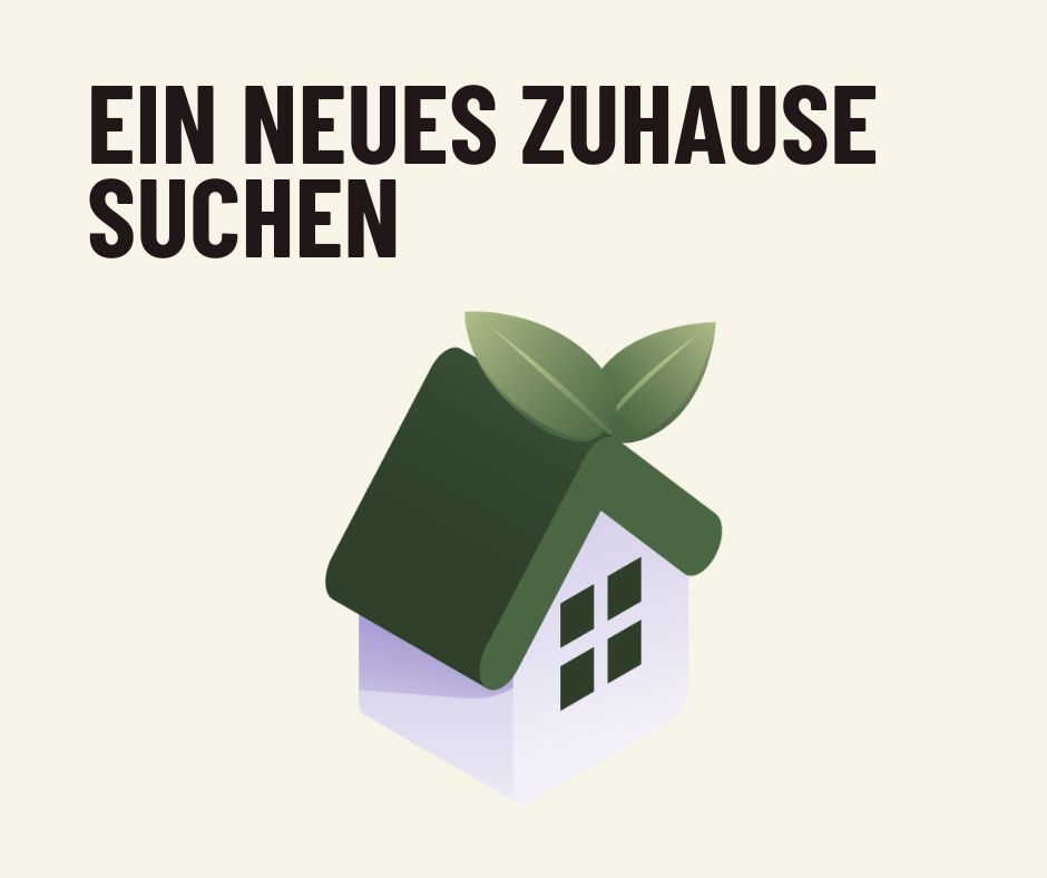 Spende für Immobilien finden